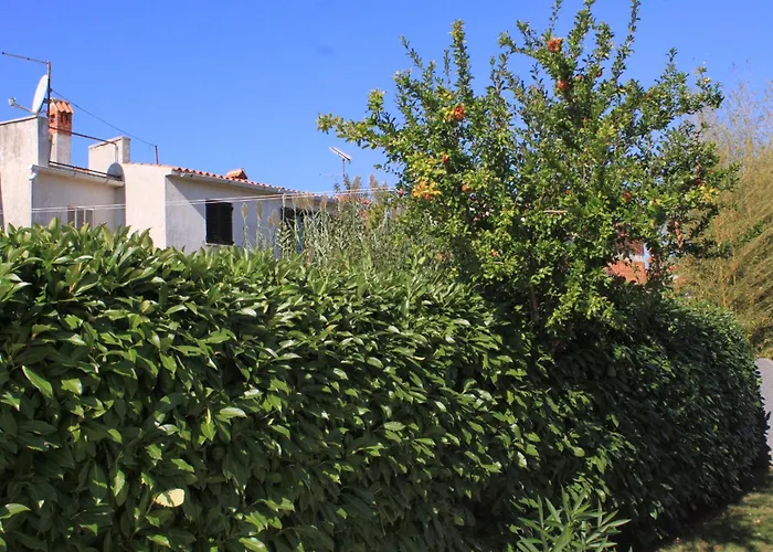 With Parking Space Valbandon, - 7304 Διαμέρισμα Fažana